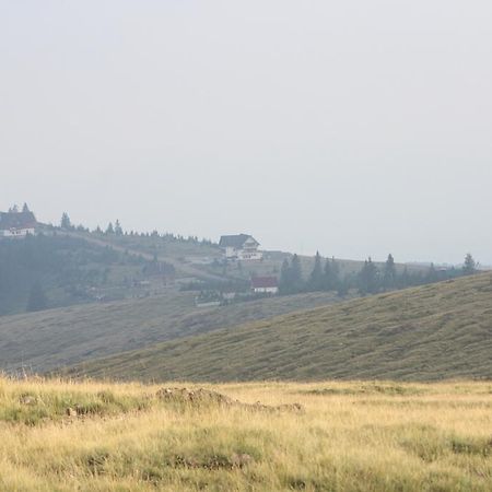 Pensiunea Muntele Alb Horezu Exterior photo