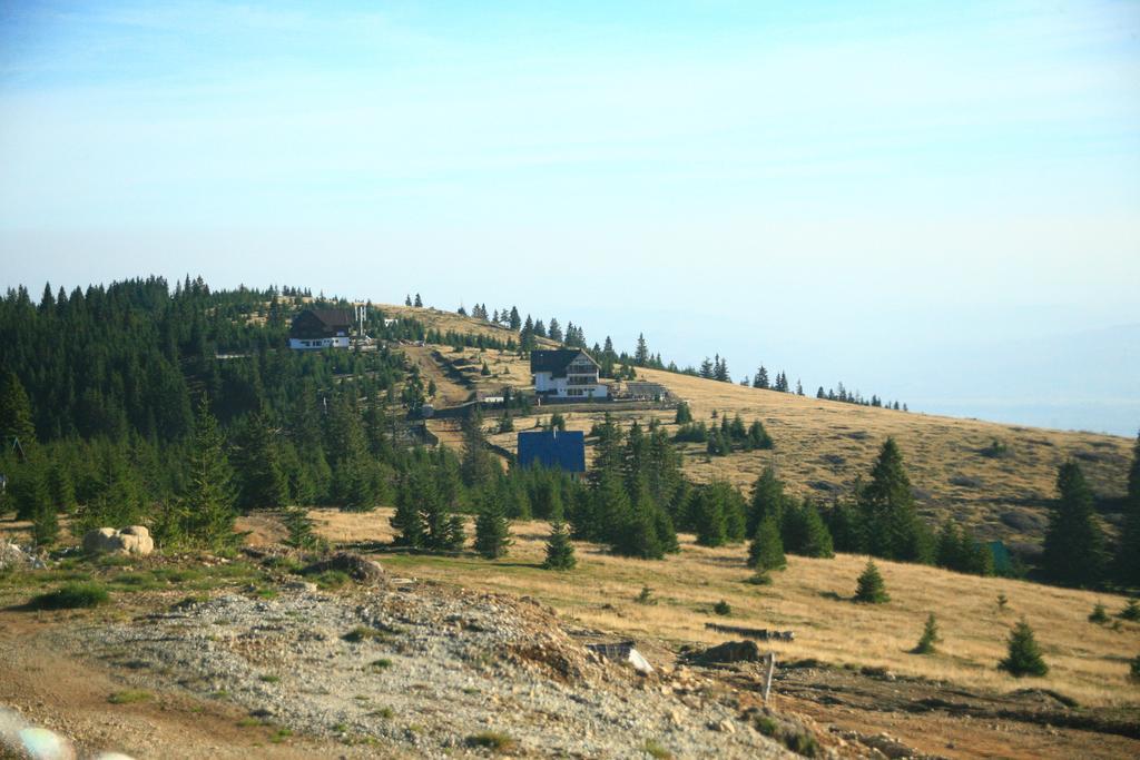 Pensiunea Muntele Alb Horezu Exterior photo