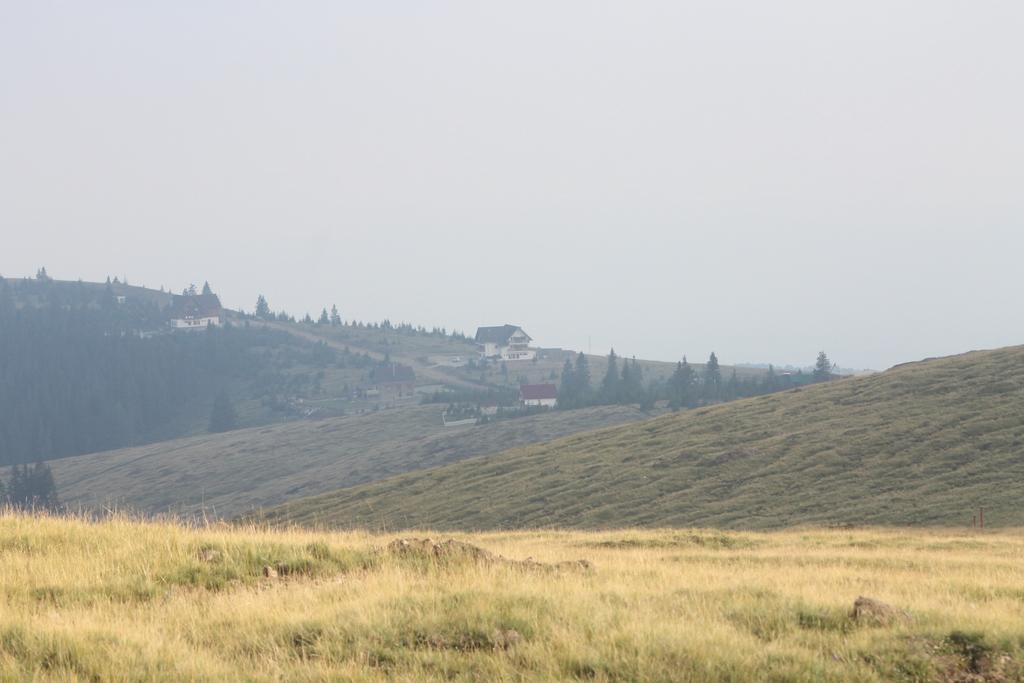 Pensiunea Muntele Alb Horezu Exterior photo